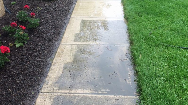 Concrete Walkway Cleaning: During