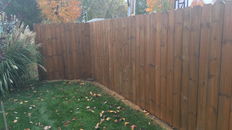 Fence Staining: After