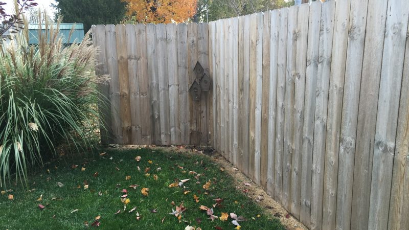 Fence Staining: Before