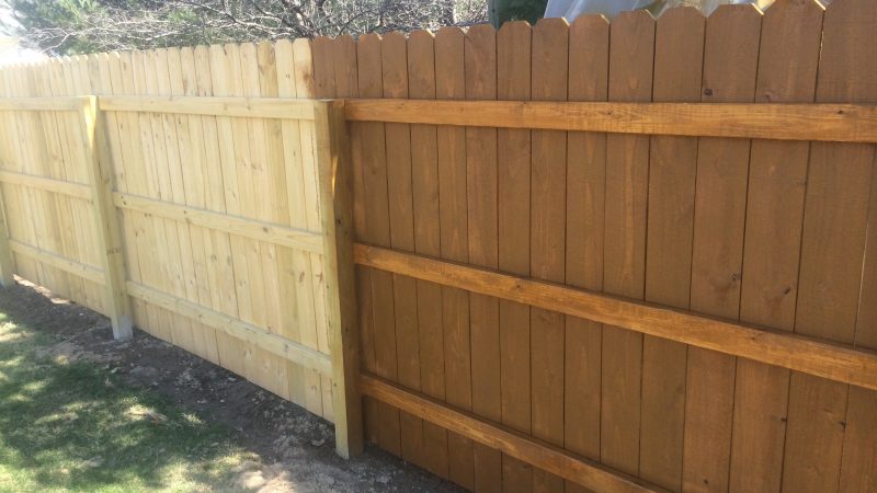 Fence Staining: During