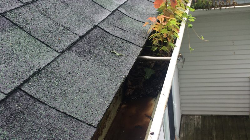 Gutter Cleaning: Before